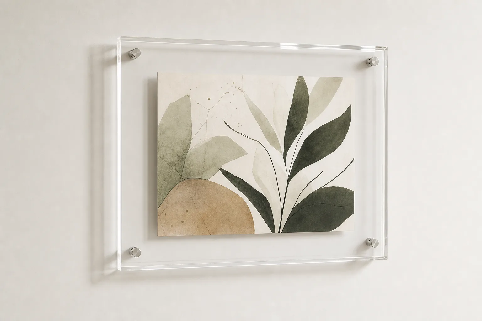Acrylic floating frame on a gallery wall — a botanical print suspended between two clear cast acrylic panels with a wide transparent margin and polished edges